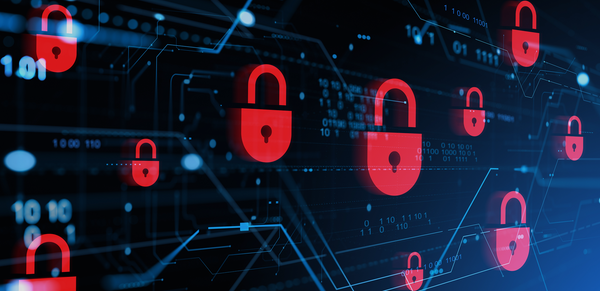 Proteção de dados e vulnerabilidades