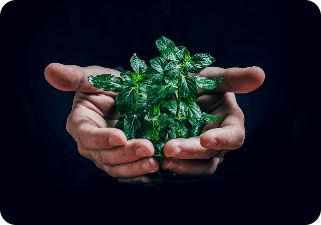 Relatório do Fórum da Geração Ecológica