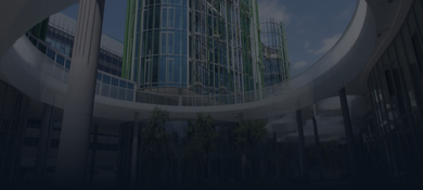 Programa de Internacionalização IDP