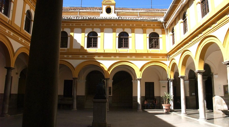 <p>Universidad de Granada</p>