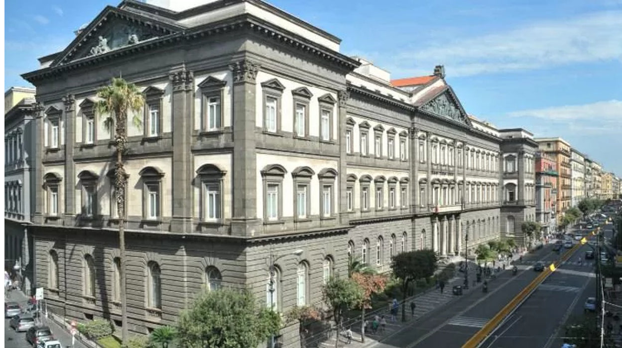 <p>Universidade de Napoles Federico II</p>