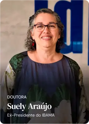 professor suely